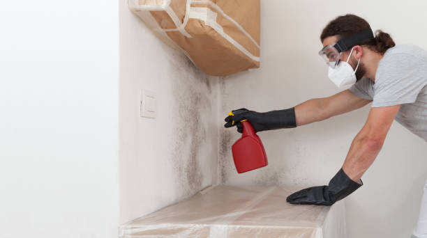 Professional Bathroom Mold Removal technician working in Rebuck, PA