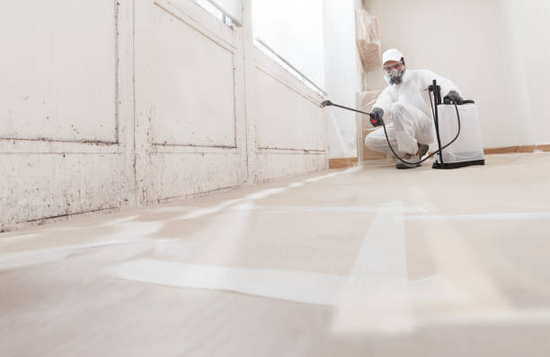 24/7 Emergency Bathroom Mold Removal experts in Rebuck, PA